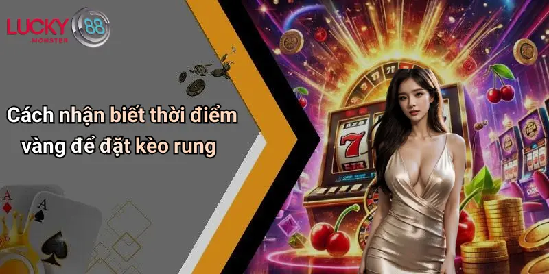 Cách nhận biết thời điểm vàng để đặt kèo rung